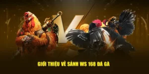 Chinh Phục Đấu Trường Đá Gà WS168 Gi8 Rinh Thưởng Siêu Khủng