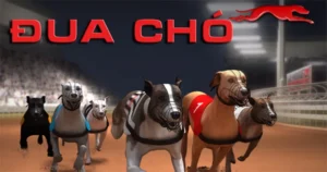 Bật Mí Cách Chơi Đua Chó Gi8 Luôn Thắng Dành Cho Người Mới Bắt Đầu