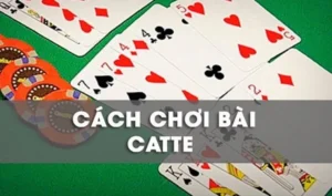 Bí Kíp Chơi Sắc Tê Gi8 Từ Cơ Bản Đến Cao Thủ Toàn Thắng