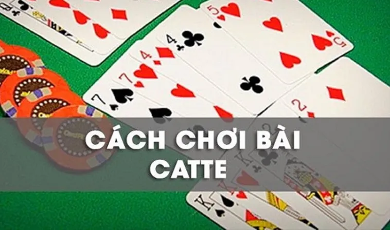 Bí Kíp Chơi Sắc Tê Gi8 Từ Cơ Bản Đến Cao Thủ Toàn Thắng